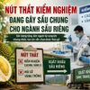 Nút thắt kiểm nghiệm và mã vùng trồng: "Điểm nghẽn" khiến ngành sầu riêng đứng trước mùa vụ đầy áp lực