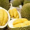 Giá sầu riêng hôm nay 14/7: Sầu riêng Thái tăng mạnh tại Đồng bằng sông Cửu Long, Ri6 phục hồi sau chuỗi giảm