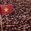 Cà phê Việt sau năm kỷ lục: Làm gì để không bỏ lỡ “thời điểm vàng”?