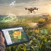 Drone nông nghiệp: Từ thiết bị phun thuốc đến “bộ não” quản lý cánh đồng bằng AI