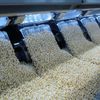 Máy tách màu AI: Công nghệ nâng chuẩn chất lượng nông sản Việt