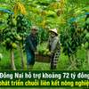 Đồng Nai hỗ trợ khoảng 72 tỷ đồng phát triển chuỗi liên kết nông nghiệp