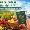 Chứng chỉ quốc tế: "Tấm hộ chiếu" đưa nông sản Việt vào chuỗi cung ứng toàn cầu