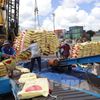 Nông lâm thủy sản Việt Nam: Xuất khẩu gần 36 tỷ USD, thị trường biến động mạnh
