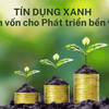 Tín dụng xanh: “Đòn bẩy” chiến lược cho doanh nghiệp công nghiệp nông thôn trong tiến trình tăng trưởng bền vững