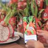 Không chỉ là mã QR: Truy xuất nguồn gốc đang trở thành "tấm hộ chiếu niềm tin" của nông sản Việt