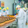 Đạt chuẩn chưa đủ: Doanh nghiệp công nghiệp nông thôn cần xây dựng thương hiệu bằng chất lượng