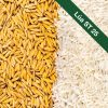 Cuộc chiến định danh ST25: Khi thị trường gạo Việt bước vào thời kỳ “thương hiệu hóa”