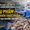 Phụ phẩm chế biến thực phẩm đang tạo nguồn thu mới