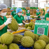 Hướng tới 74 tỷ USD xuất khẩu nông sản: Gỡ nút thắt từ thị trường đến vùng trồng