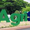 AgriS chuyển dịch nguồn thu: Gạo và thực phẩm dần trở thành động lực mới