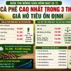Giá nông sản hôm nay (6-7): Giá cà phê lên mức cao nhất trong hơn 3 tháng, hồ tiêu giữ giá ổn định