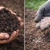 Công nghệ sinh học đang thay đổi ngành phân bón Việt Nam như thế nào?