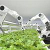 Robot nông nghiệp đang thay đổi cách người Việt canh tác