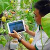 Chuyển đổi số đang giúp hợp tác xã nông nghiệp thay đổi ra sao?