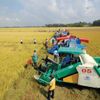 Thuê dịch vụ máy nông nghiệp: Giải pháp tiết kiệm cho sản xuất quy mô nhỏ