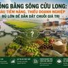 Đồng bằng sông Cửu Long: Giàu tiềm năng, thiếu doanh nghiệp đủ lớn để dẫn dắt chuỗi giá trị