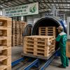 Nghề làm pallet gỗ cho nông sản xuất khẩu đang thay đổi vì tiêu chuẩn kiểm dịch ISPM 15