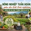 Nông nghiệp tuần hoàn gắn du lịch trải nghiệm: Hướng mở cho kinh tế nông thôn đa giá trị