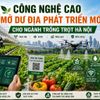Công nghệ cao mở dư địa phát triển mới cho ngành trồng trọt Hà Nội