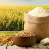 Giá gạo xuất khẩu đồng loạt đi lên, gạo Việt tăng tuần thứ ba liên tiếp