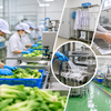 Nhà máy nhỏ đừng xem nhẹ những “góc khuất” quyết định chất lượng nông sản