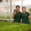 TMT – Khởi nghiệp ở tuổi U70, gieo khát vọng về nền nông nghiệp sạch
