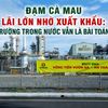 Đạm Cà Mau lãi lớn nhờ xuất khẩu: Thị trường trong nước vẫn là bài toán khó
