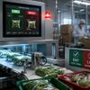Một chiếc máy có thể quyết định cả lô hàng được xuất hay bị loại?