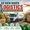 Gỡ điểm nghẽn logistics, mở đường cho rau quả Việt vươn xa