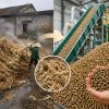 Làng này bỏ đi, làng kia kiếm tiền: Khi phụ phẩm thành “nguyên liệu vàng”