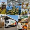 Từ ruộng đến tay người mua: Giá trị nông sản được tạo thêm ở những khâu nào?