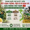 Trung Quốc phê duyệt thêm 401 vùng trồng, 166 cơ sở đóng gói sầu riêng Việt Nam
