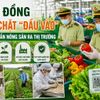 Lâm Đồng siết chặt kiểm soát chuỗi nông nghiệp, nâng chuẩn nông sản ra thị trường