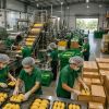 Đơn hàng tăng, nhà xưởng phải lớn lên: Bước chuyển phía sau những sản phẩm được săn đón