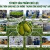 Từ một sản phẩm chủ lực, nông thôn đang mọc lên những “ngành công nghiệp phụ trợ” nào?