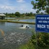 HTX Dịch vụ Nông nghiệp Nuôi trồng thủy sản Mạch Tràng: Gắn kết thành viên, phát triển nghề nuôi trồng thủy sản