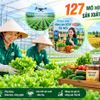 Hà Nội phát triển 127 mô hình hợp tác sản xuất theo chuỗi giá trị