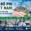 Cá rô phi Việt Nam: Từ vùng nuôi đến chuỗi giá trị xuất khẩu