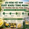 Sầu riêng xuất khẩu tăng mạnh, thị trường nội địa cần minh bạch nguồn gốc