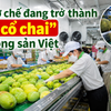 Trạm sơ chế đang trở thành “nút cổ chai” của nông sản Việt