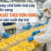 Nhà máy chế biến trái cây đang chuyển sang “sản xuất theo đơn hàng” thay vì sản xuất đại trà