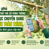 Chính phủ gỡ nút thắt mã số vùng trồng: Thủ tục chuyển sang online toàn trình, rút ngắn thời gian cấp mã