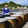 “Điểm nghẽn không nằm ở máy móc”: Vì sao nhiều cơ sở chế biến nông thôn vẫn khó tăng giá trị?