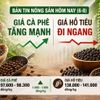 Giá nông sản hôm nay (6-8): Giá cà phê bật tăng mạnh, hồ tiêu tiếp tục đi ngang