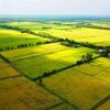 Khai thác hiệu quả quỹ đất nông nghiệp: Biến tiềm năng thành động lực phát triển bền vững