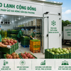 Kho lạnh cộng đồng: “Vũ khí giữ giá” mới của nông sản địa phương
