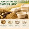 Vật liệu đóng gói sinh học từ phụ phẩm nông nghiệp: Khi công nghiệp nông thôn bước vào kinh tế tuần hoàn