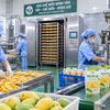 Xưởng chế biến “3 trong 1” đang xuất hiện ở nông thôn
