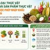 [Infographic] 178 loại thực vật và sản phẩm thực vật Việt Nam được phép nhập khẩu vào Đài Loan